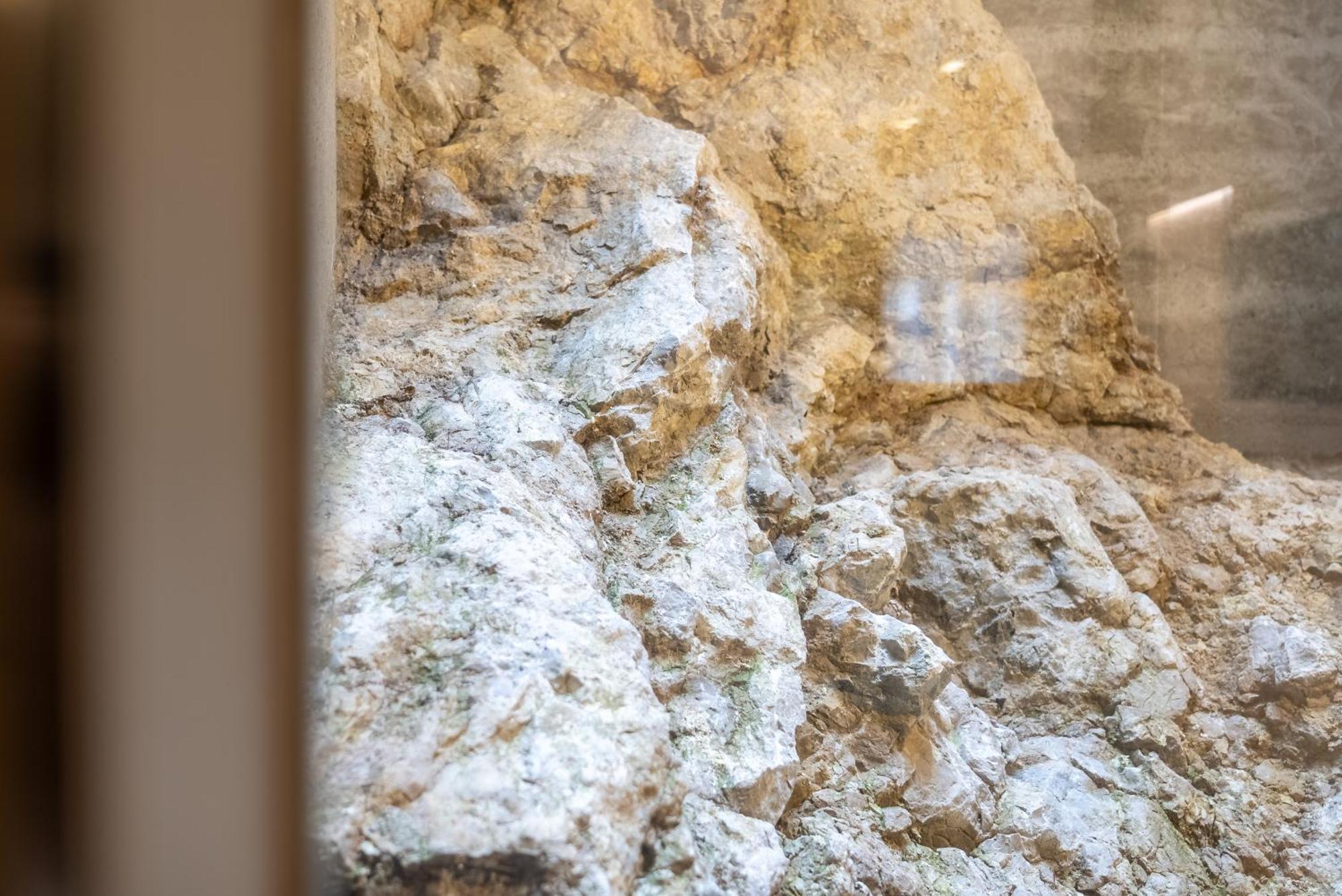 Rock Salzburgアパートメント エクステリア 写真